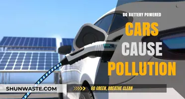 Green or Greedy? Unveiling the Environmental Impact of Battery-Powered Cars