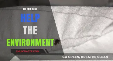 Bed Bugs' Ecological Role: Unveiling Their Environmental Impact and Benefits