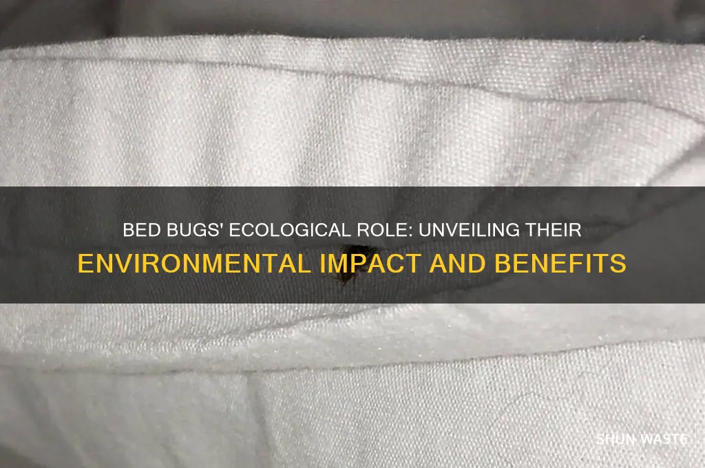 do bed bugs help the environment