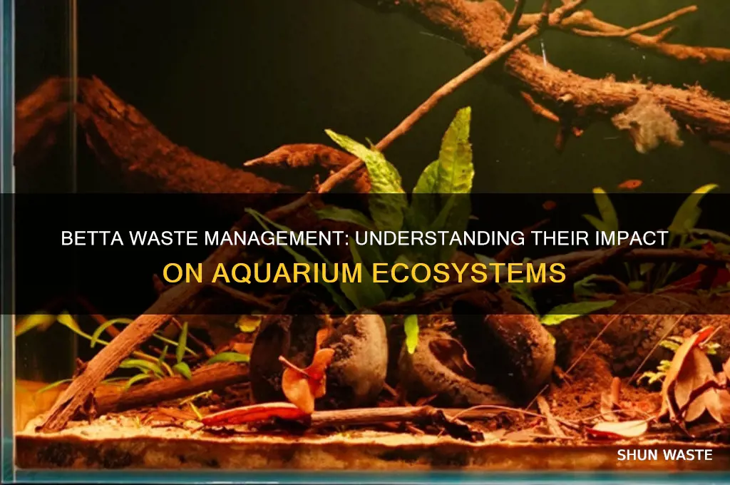 do bettas produce a lot of waste