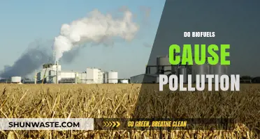 Biofuels: Green Energy or Greenwashing?