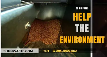 Biofuels and the Environment: Sustainable Solution or Greenwashed Myth?