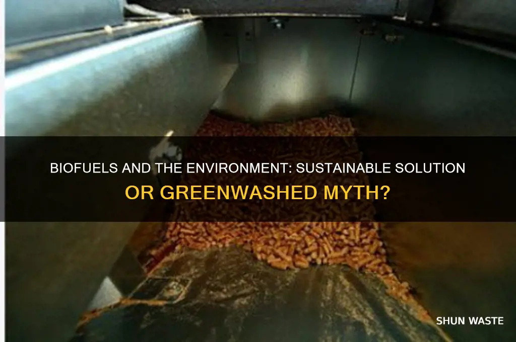do biofuels help the environment