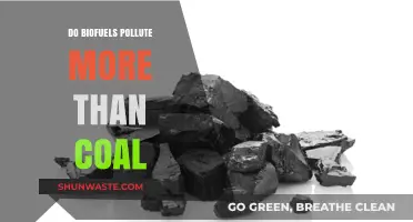 Biofuels vs. Coal: Which Pollutes More?