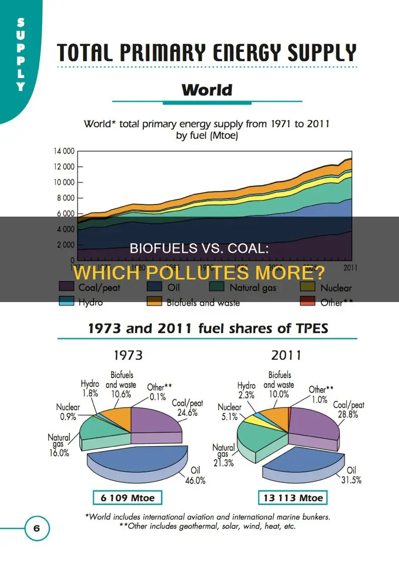 do biofuels pollute more than coal