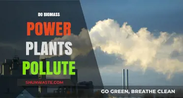 Biomass Power Plants: Clean Energy or Polluters?