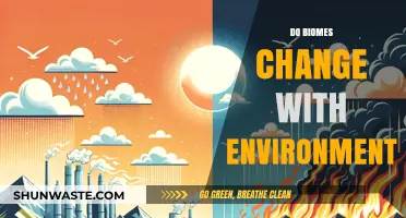 How Environmental Shifts Transform Biomes: Causes and Impacts Explained