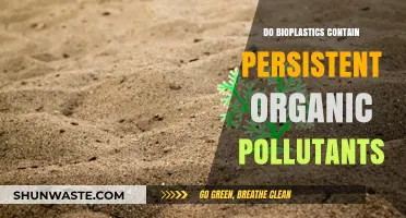 Bioplastics and POPs: What's the Connection?