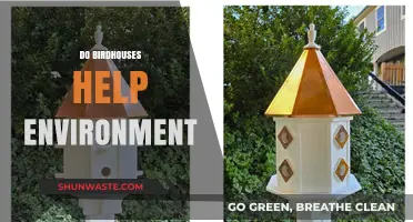 Birdhouses: Eco-Friendly Havens Boosting Biodiversity and Environmental Health
