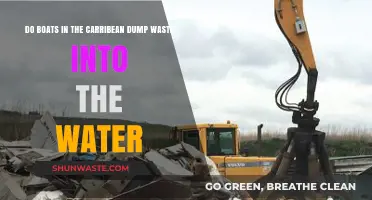 Caribbean Boat Waste Dumping: Environmental Impact and Solutions Revealed