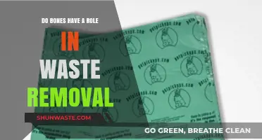 Bones' Surprising Role in Waste Removal: Unveiling Their Hidden Function