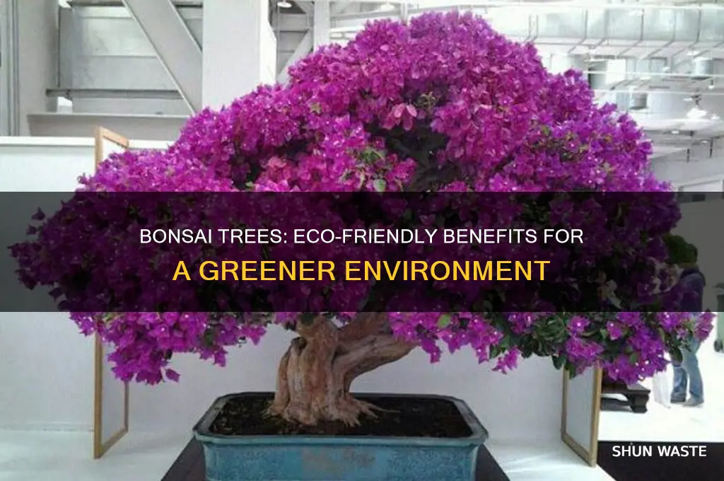 do bonsai trees help the environment