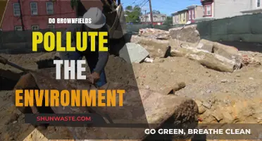 Brownfield Remediation: Environmental Impact and Solutions