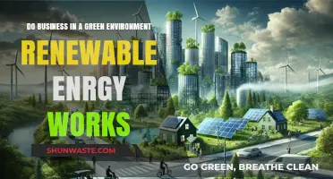 Green Business Strategies: Harnessing Renewable Energy for Sustainable Success