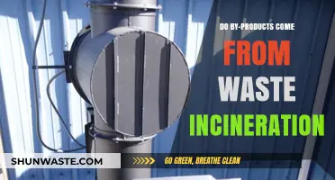 Incineration Insights: Are By-Products Derived from Waste Burning?