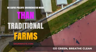 CAFOs vs Traditional Farms: Who Pollutes Groundwater More?