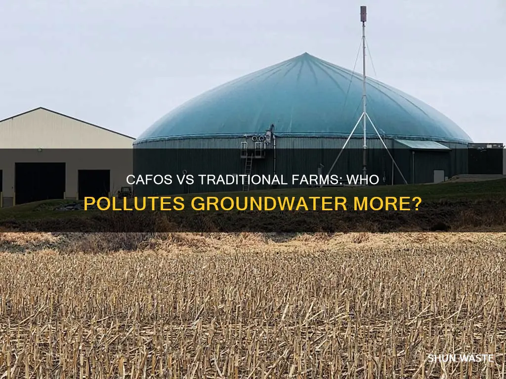 do cafos pollute groundwater more than traditional farms