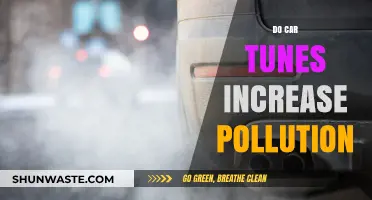Car Tuning: Performance or Pollution?