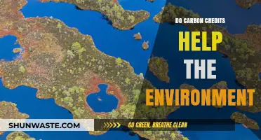 Carbon Credits: Environmental Savior or Greenwashing Scheme?