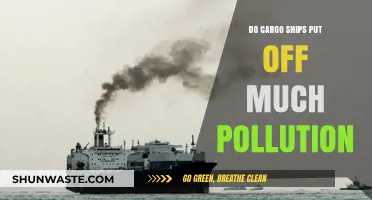 Cargo Ships: How Polluting Are They?