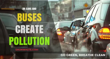 Transportation Pollution: Cars and Buses' Impact