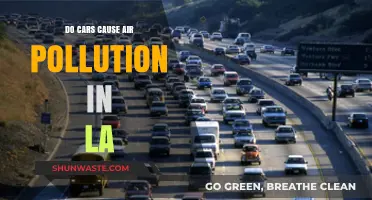 L.A.'s Car-Driven Air Pollution: A Complex Issue