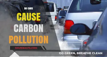 Do Cars Cause Carbon Pollution? Unveiling the Truth