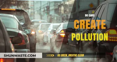 Cars and Pollution: What's the Real Damage?