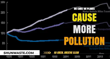 Air Travel vs. Cars: Which Is More Polluting?