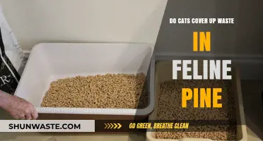 Do Cats Cover Waste in Feline Pine? Exploring Litter Habits