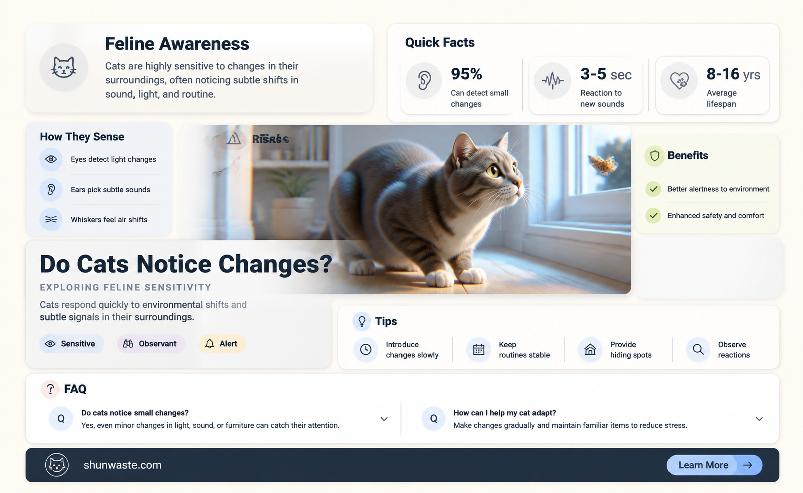 are cats aware of changes in their environment
