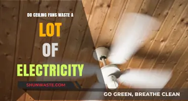 Ceiling Fans and Energy Efficiency: Do They Really Waste Electricity?