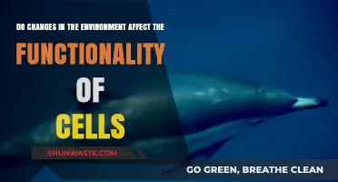 Environmental Shifts: How Do They Impact Cellular Functionality?
