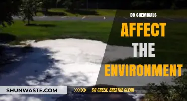 Chemicals and the Environment: Uncovering Their Impact on Our Planet