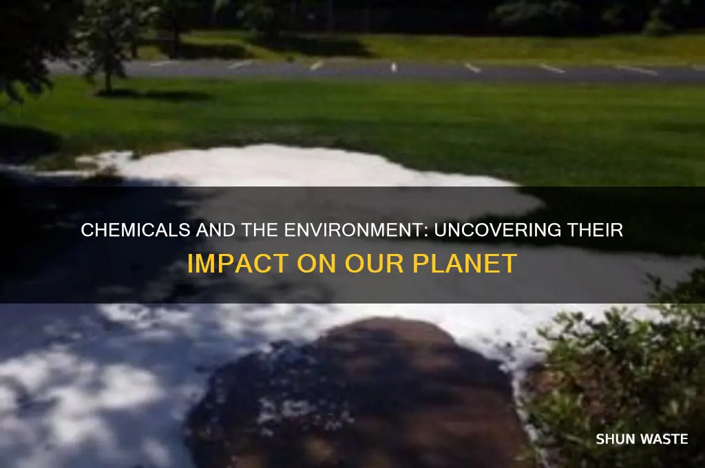 do chemicals affect the environment