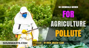 Agricultural Chemicals: Polluting Our Planet?