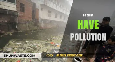 China's Pollution Problem: A Complex Challenge