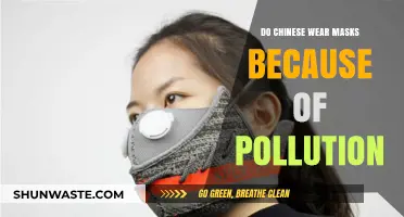 Masks in China: Pollution, Culture, and Health