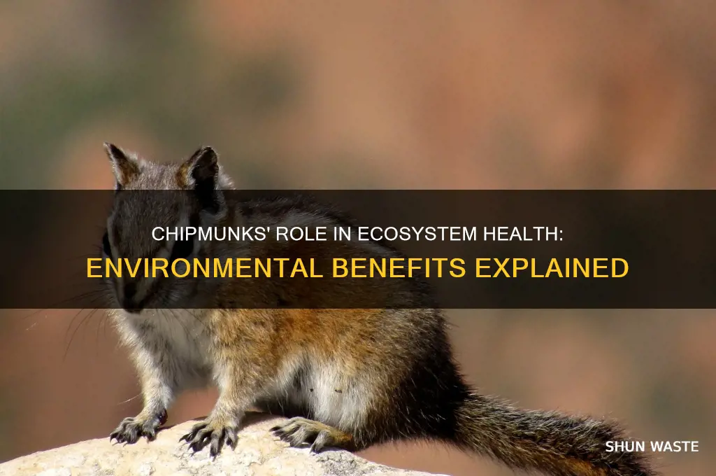 do chipmuncks help the environment