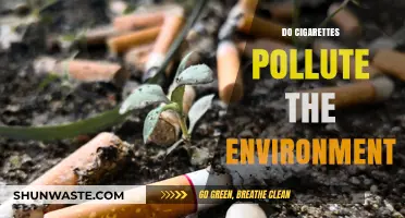 Cigarettes: Environmental Impact and Pollution