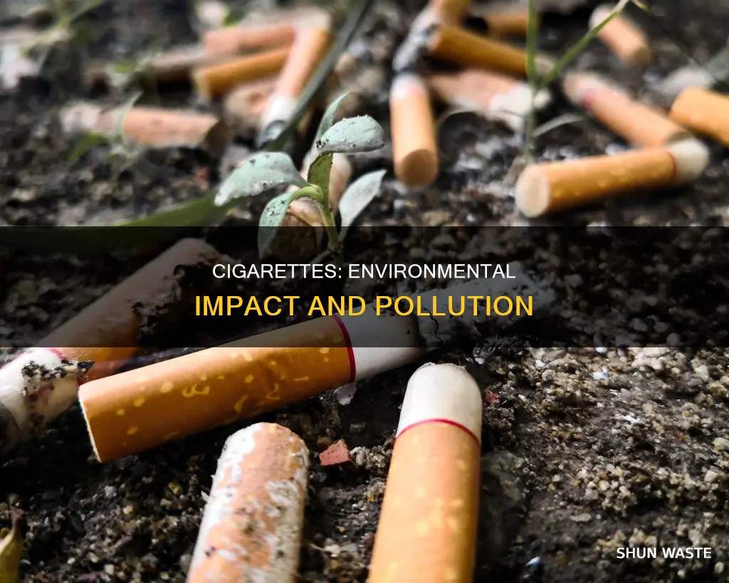 do cigarettes pollute the environment