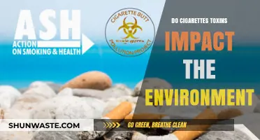 Cigarette Toxins: Environmental Impact and Long-Term Ecological Consequences