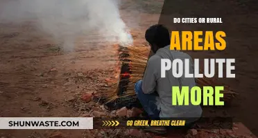 Urban vs Rural: Who Pollutes More?