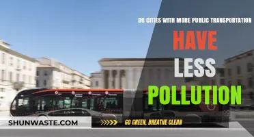 Public Transport: Less City Pollution?