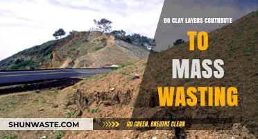 Clay Layers' Role in Triggering Mass Wasting: Causes and Effects