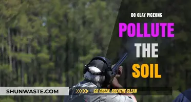 Clay Pigeon Shooting: Soil Pollution Risk?