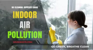 Unveiling the Hidden Dangers: Do Cleaning Products Pollute Your Home?