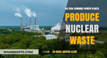 Coal Power Plants and Nuclear Waste: Unraveling the Environmental Impact