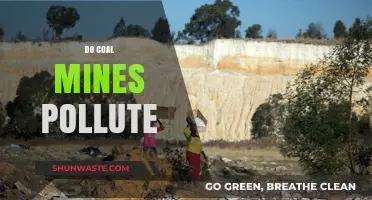 Coal Mines: Pollution and Environmental Impact