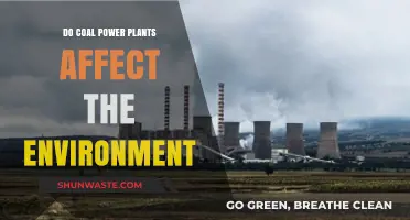 Coal Power Plants: Environmental Impact and Long-Term Consequences Explored